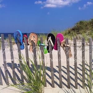 Meet your Posher, Kacey